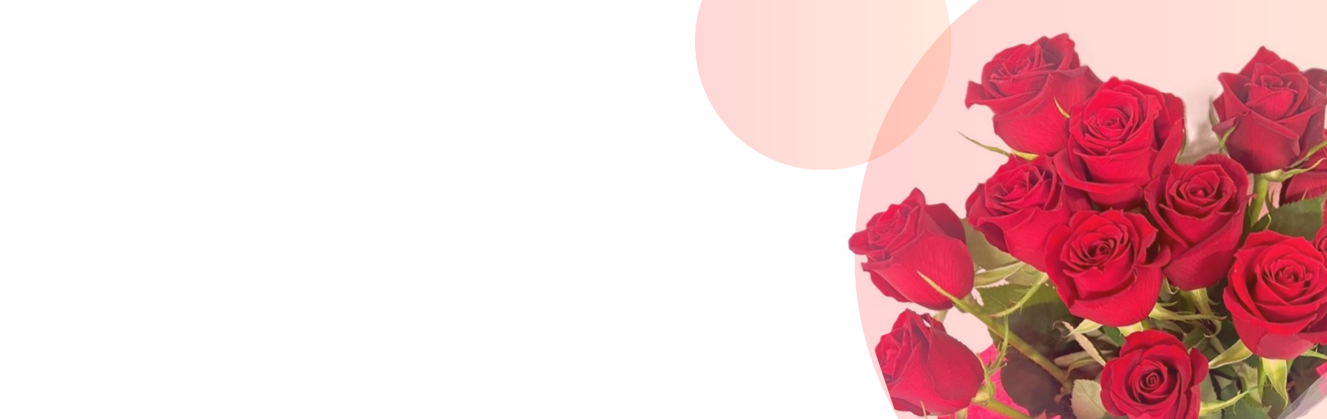 dozenroses_club